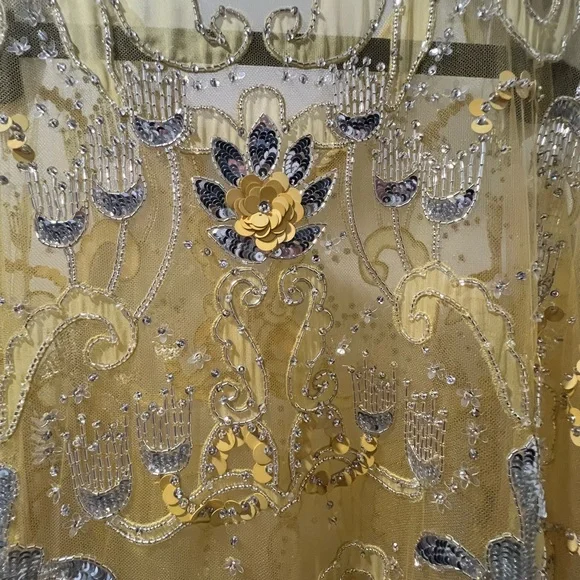 Louis Vuitton sheer sequin dress
